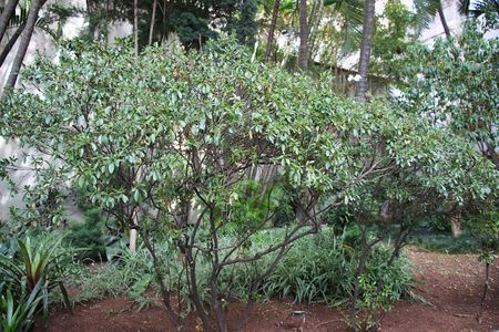 Apartamento para alugar com 89m², 2 quartos e 1 vagaÁrea Comum