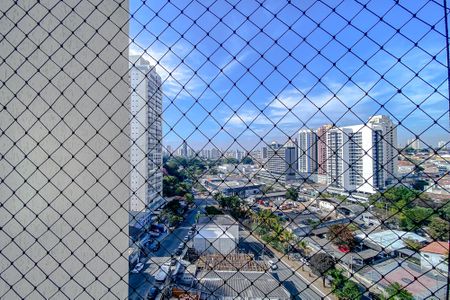 Apartamento à venda com 120m², 3 quartos e 3 vagasVista da Suíte 3