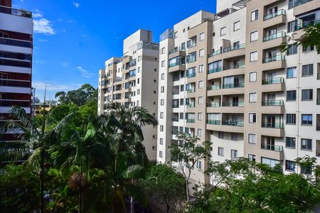 Apartamento para alugar com 36m², 1 quarto e 2 vagasVista