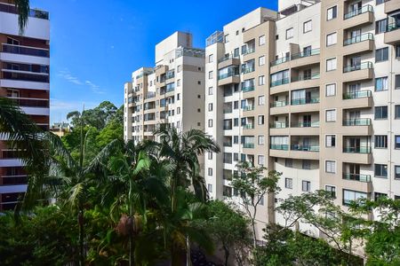 Vista da Suíte de apartamento para alugar com 1 quarto, 36m² em Jardim Ampliação, São Paulo