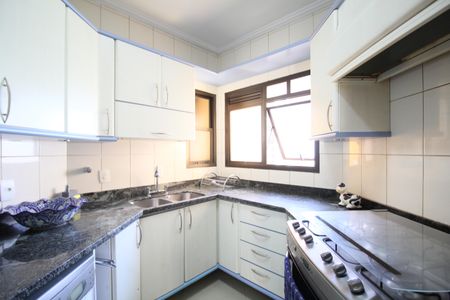 Apartamento à venda com 243m², 4 quartos e 4 vagasCozinha