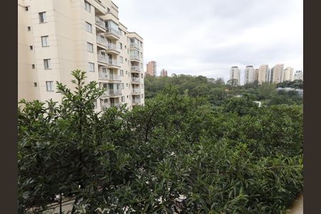 Vista da Varanda de apartamento para alugar com 1 quarto, 38m² em Jardim Ampliação, São Paulo