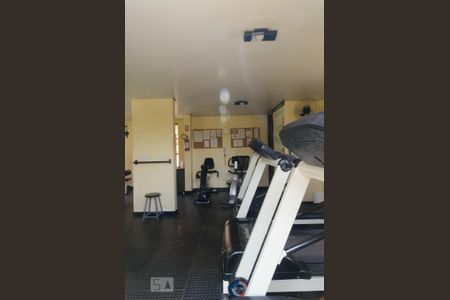 Área comum - Academia de apartamento para alugar com 3 quartos, 80m² em Nova Campinas, Campinas