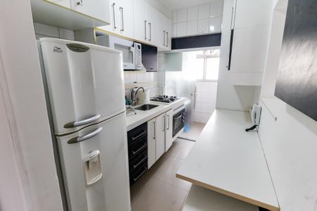 Apartamento para alugar com 50m², 2 quartos e 1 vagaCozinha 