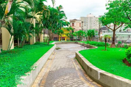 Área comum de apartamento para alugar com 3 quartos, 75m² em Santana, São Paulo