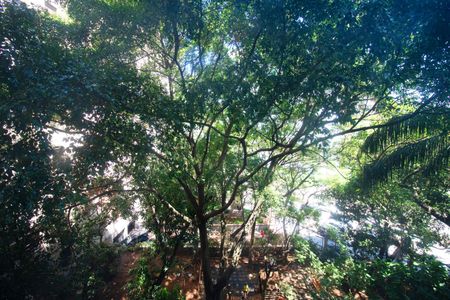 Apartamento para alugar com 95m², 2 quartos e sem vagaVista do Quarto 2