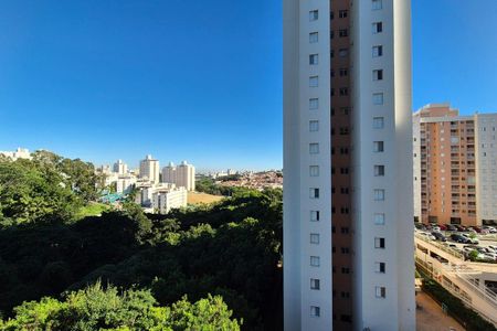 Apartamento à venda com 75m², 3 quartos e 1 vagaVista da Varanda 