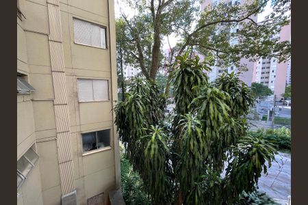 Apartamento para alugar com 60m², 2 quartos e 1 vagaVista do Quarto 1