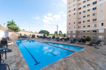 Apartamento para alugar com 45m², 2 quartos e 1 vaga Apartamento para alugar com 45m², 2 quartos e 1 vagaÁrea comum - Piscina