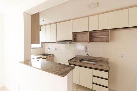 Apartamento para alugar com 45m², 2 quartos e 1 vaga Apartamento para alugar com 45m², 2 quartos e 1 vagaCozinha