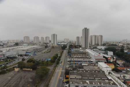 Vista do Quarto de apartamento para alugar com 2 quartos, 61m² em Vila Endres, Guarulhos