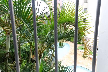 Apartamento para alugar com 180m², 4 quartos e 4 vagas Apartamento para alugar com 180m², 4 quartos e 4 vagasVista do Quarto 1