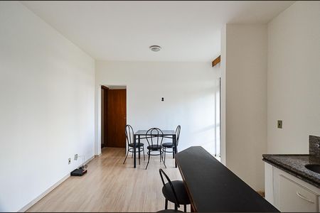Sala Ambientes de apartamento para alugar com 1 quarto, 50m² em Lourdes, Belo Horizonte