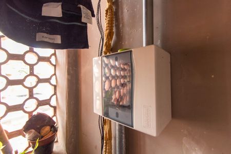 Apartamento para alugar com 58m², 1 quarto e sem vagaÁrea de Serviço