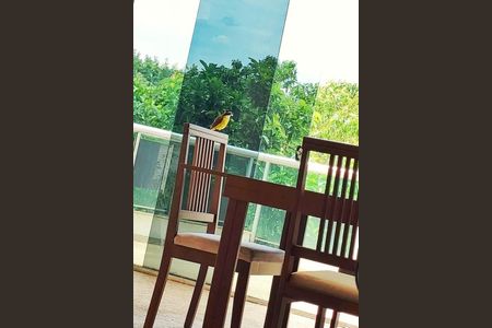 Apartamento para alugar com 259m², 3 quartos e 2 vagas