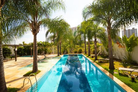 Área comum - Piscina de apartamento à venda com 3 quartos, 62m² em Jardim Ipaussurama, Campinas