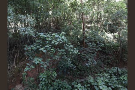 Vista da Varanda de apartamento para alugar com 3 quartos, 64m² em Jardim Caboré, São Paulo
