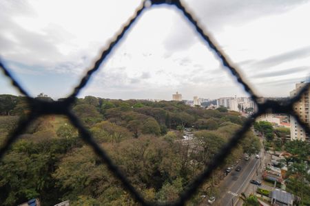 Apartamento para alugar com 150m², 3 quartos e 2 vagasVista da Varanda da Sala