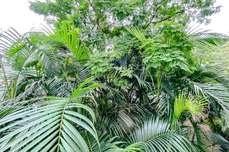 Apartamento à venda com 46m², 2 quartos e 1 vagaVista do Quarto 2