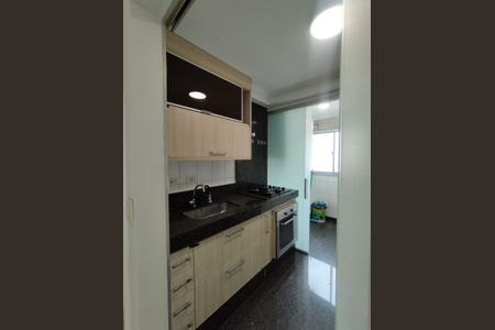 Apartamento para alugar com 50m², 2 quartos e 1 vagaCozinha - Armários