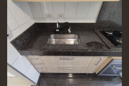 Apartamento para alugar com 50m², 2 quartos e 1 vagaCozinha - Torneira