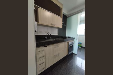Apartamento para alugar com 50m², 2 quartos e 1 vagaCozinha - Armários