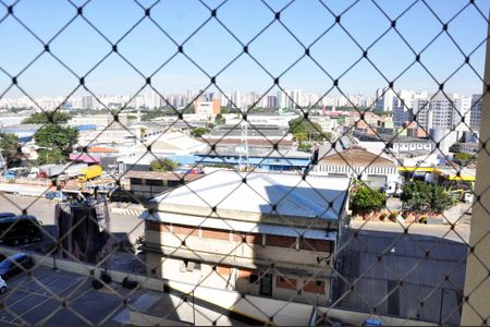 Apartamento à venda com 50m², 3 quartos e 1 vaga Apartamento à venda com 50m², 3 quartos e 1 vagaVista da Varanda da Sala