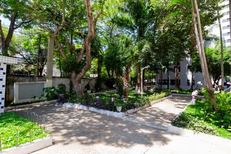 Apartamento para alugar com 50m², 2 quartos e 1 vagaÁrea comum