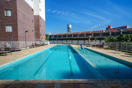Apartamento para alugar com 62m², 2 quartos e 1 vaga Apartamento para alugar com 62m², 2 quartos e 1 vagaÁrea comum - Piscina