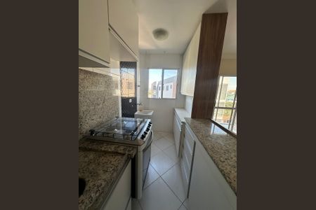 Cozinha de apartamento para alugar com 2 quartos, 50m² em Jardim dos Ipês, Cotia