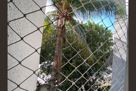 Apartamento à venda com 60m², 2 quartos e sem vagaVista da Área de Serviço