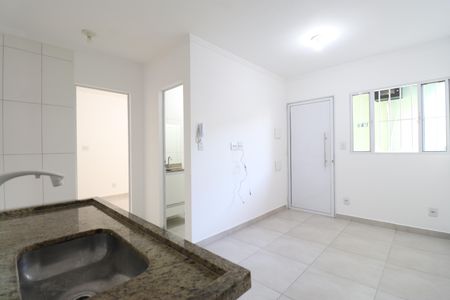 Sala/Cozinha de apartamento para alugar com 1 quarto, 28m² em Vila Anastácio, São Paulo