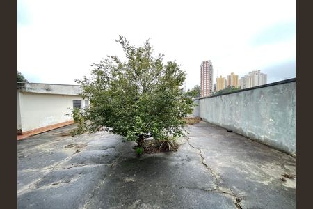 Casa para alugar com 917m², 3 quartos e 5 vagas Casa para alugar com 917m², 3 quartos e 5 vagasVista do Quarto 1