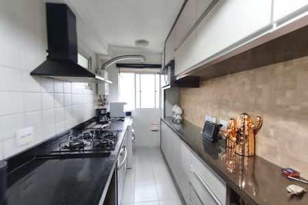 Cozinha de apartamento para alugar com 2 quartos, 65m² em Residencial Parque da Fazenda, Campinas