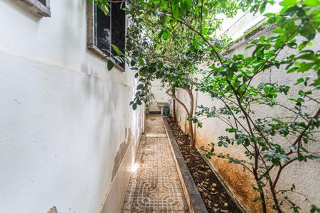 Casa para alugar com 300m², 4 quartos e 3 vagasÁrea de Serviço