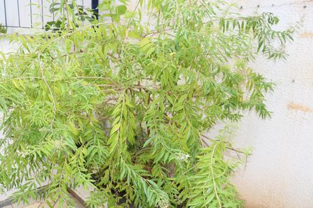 Apartamento para alugar com 47m², 1 quarto e 1 vagaÁrea comum