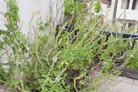 Apartamento para alugar com 47m², 1 quarto e 1 vagaÁrea comum