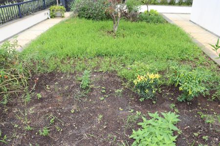 Apartamento para alugar com 47m², 1 quarto e 1 vagaÁrea comum