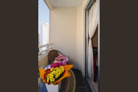 Varanda da Sala de apartamento à venda com 2 quartos, 55m² em Jardim Ampliação, São Paulo