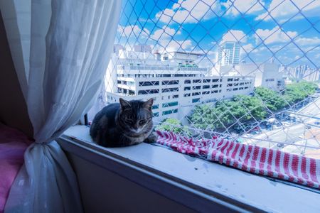 Apartamento à venda com 55m², 2 quartos e sem vagaVista da Janela do Quarto 2