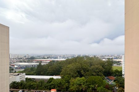 Apartamento à venda com 76m², 3 quartos e 1 vagaVista da suíte 