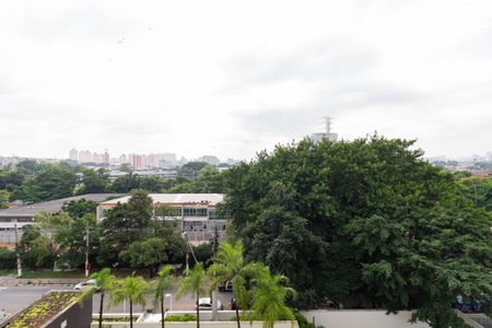 Vista do Quarto de apartamento para alugar com 2 quartos, 55m² em Vila Anastácio, São Paulo