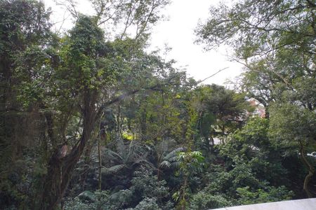 Vista da Varanda de apartamento para alugar com 1 quarto, 56m² em Petrópolis, Porto Alegre