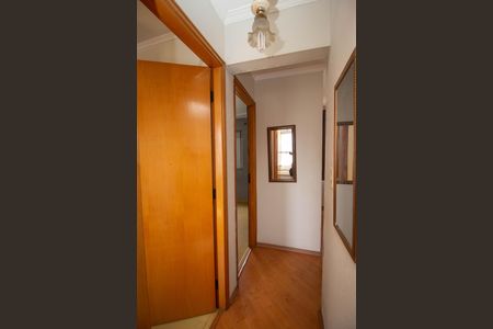 Corredor de apartamento para alugar com 2 quartos, 54m² em Jardim Íris, São Paulo