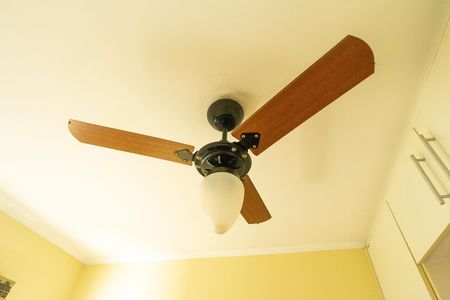 Ventilador de teto de apartamento para alugar com 2 quartos, 60m² em Tatuapé, São Paulo
