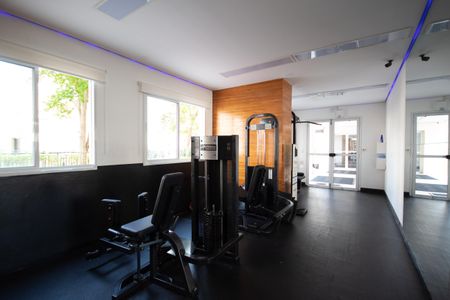 Apartamento à venda com 65m², 3 quartos e 1 vaga Apartamento à venda com 65m², 3 quartos e 1 vagaÁrea comum - Academia