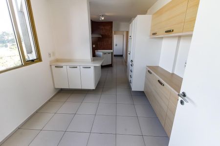 Apartamento para alugar com 250m², 4 quartos e sem vaga Apartamento para alugar com 250m², 4 quartos e sem vagaCozinha - Armários
