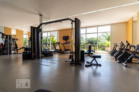Apartamento para alugar com 110m², 3 quartos e 2 vagas Apartamento para alugar com 110m², 3 quartos e 2 vagasAcademia