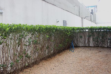 Apartamento para alugar com 42m², 1 quarto e sem vagaPetPlace