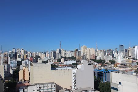Apartamento para alugar com 42m², 1 quarto e sem vagaVista do terraço